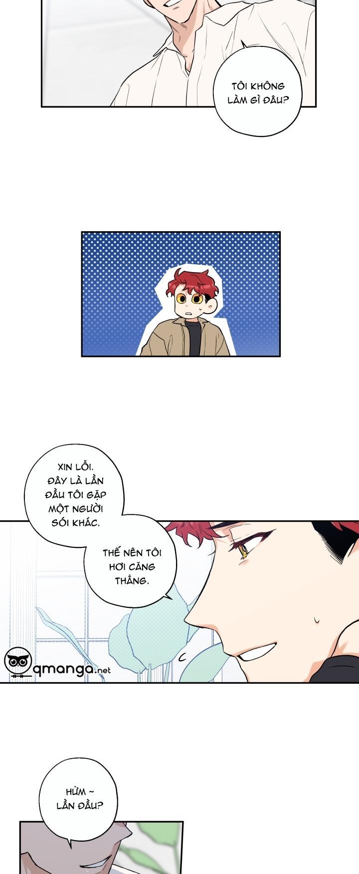 gâu gâu! chapter 10 22