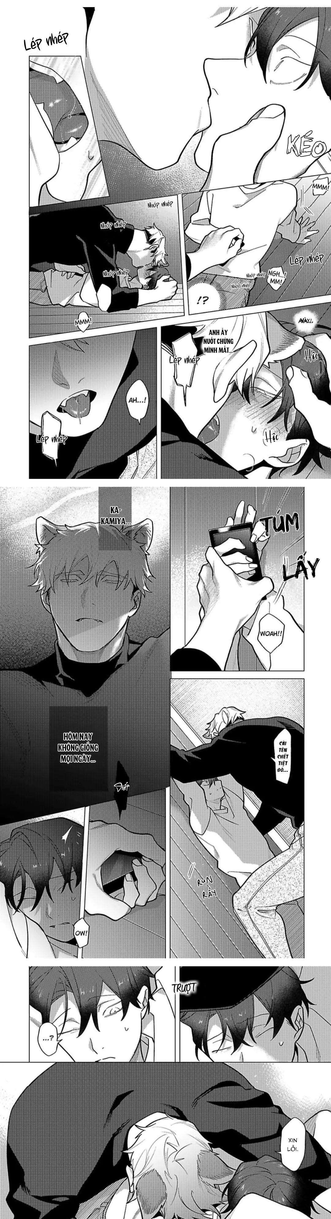 nghiền nát tôi và dạy tôi về tình yêu chapter 8 12