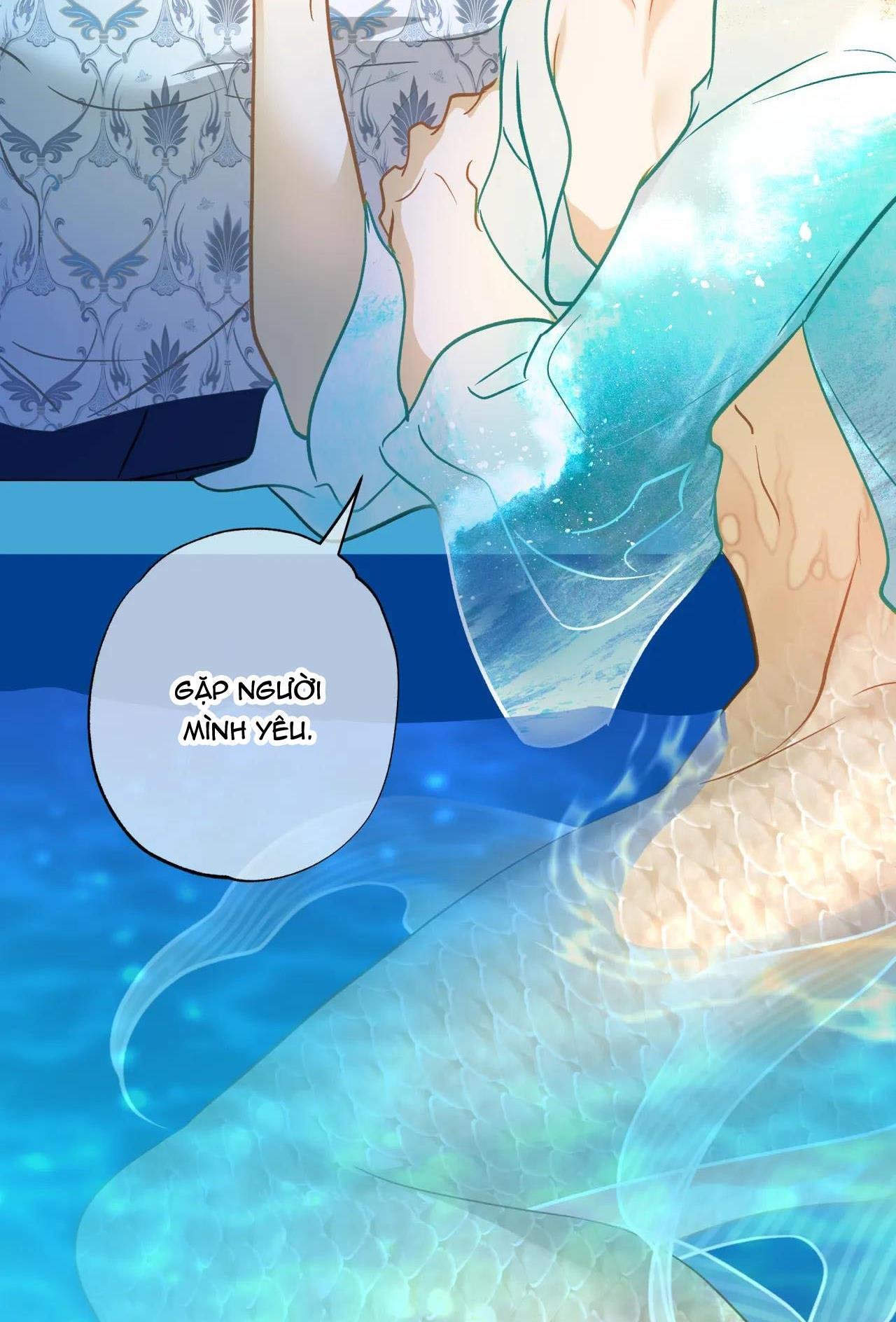 mỹ nhân ngư chapter 16 77