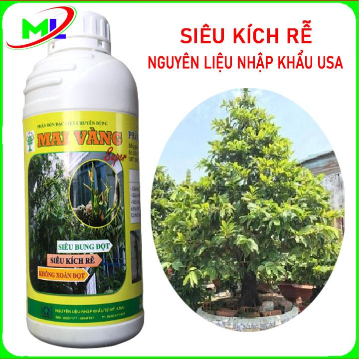Siêu kích rễ mai vàng 1 lít