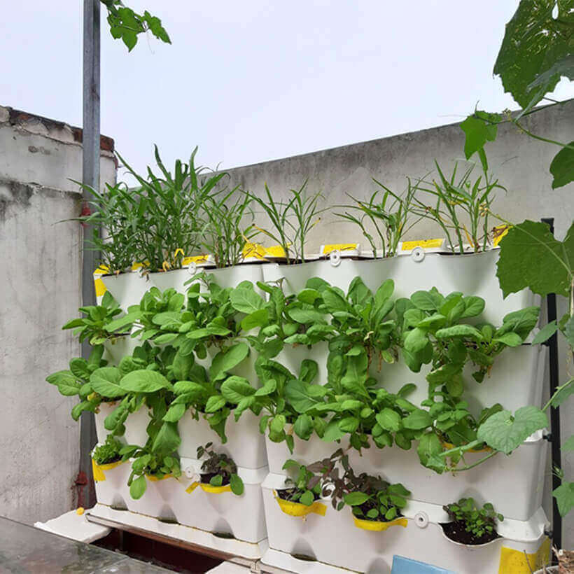 Khung Module Rau Ban Công dạng Đứng VerticalMinigarden nhập khẩu Bồ Đào Nha với 8 chậu kèm 2 Tray hứng nước và bộ dây tưới nhỏ giọt lắp sẵn
