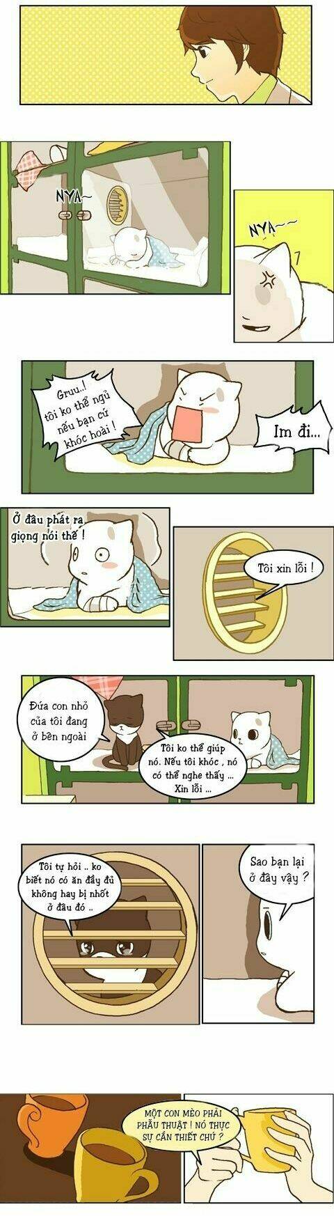 papi nyang chapter 11 3