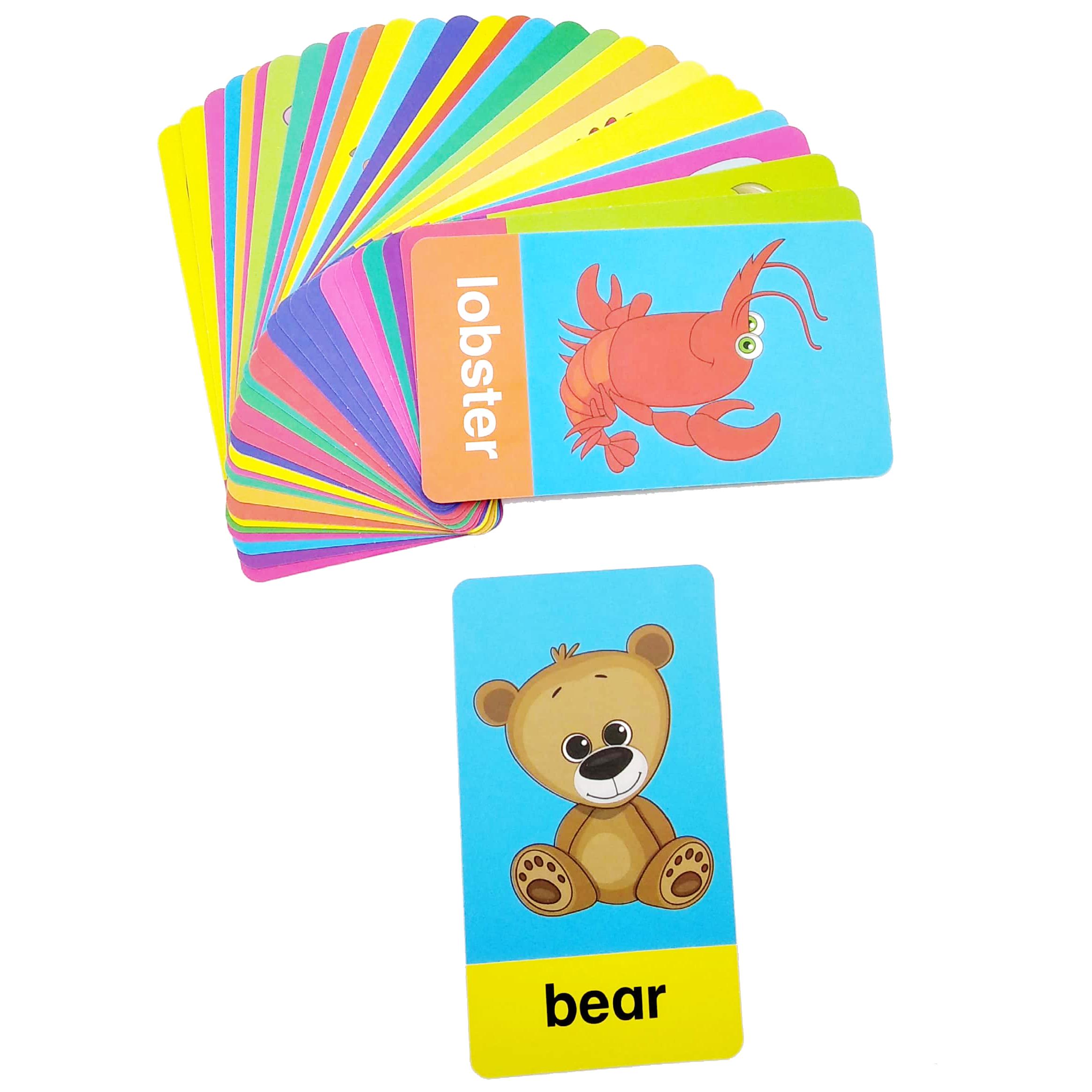 Flash Cards - Animals