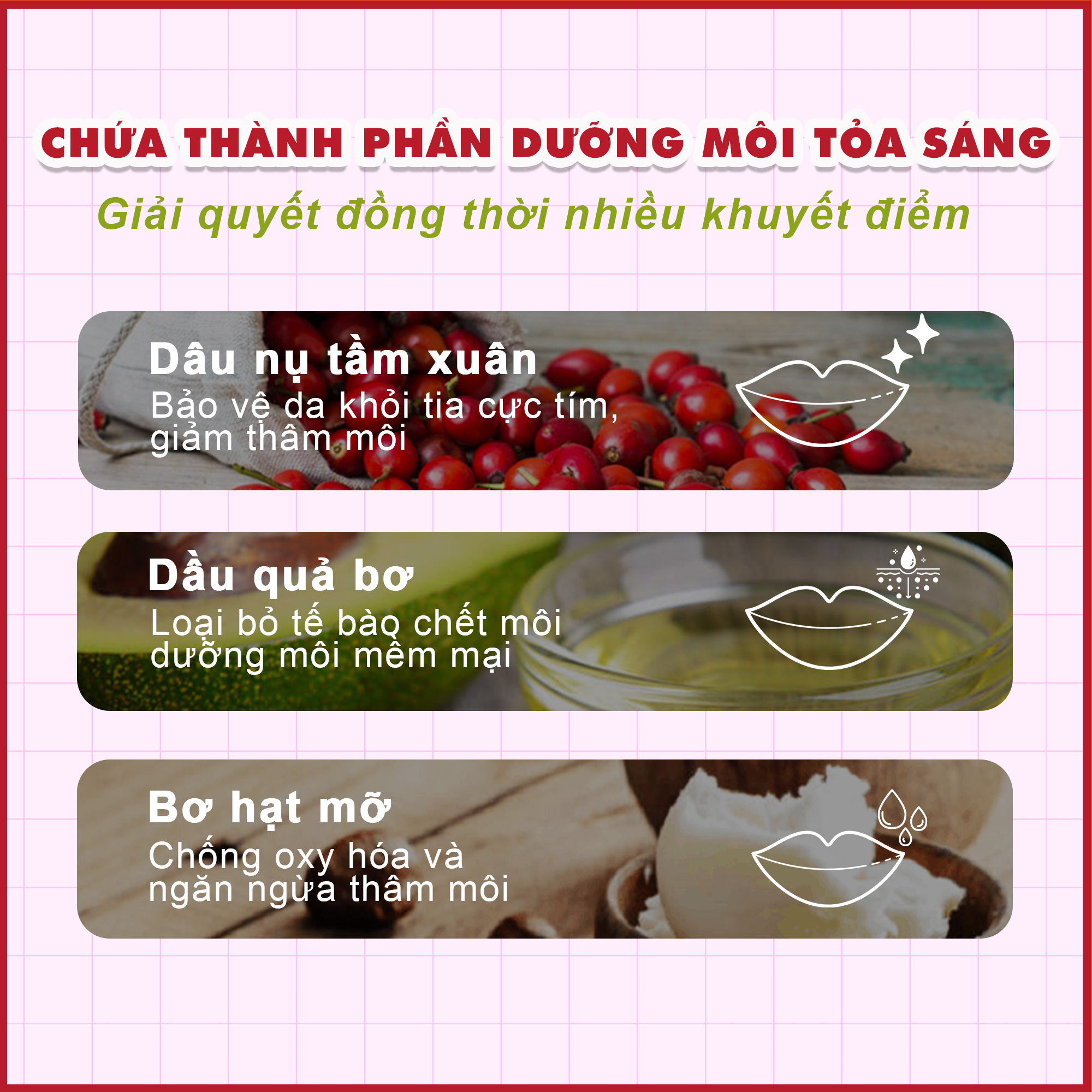 [Không Chì-Không dầu khoáng] Son Dưỡng Hồng Dâu An Toàn Bà Bầu GUO - Rose Touch Lip Balm 5gr