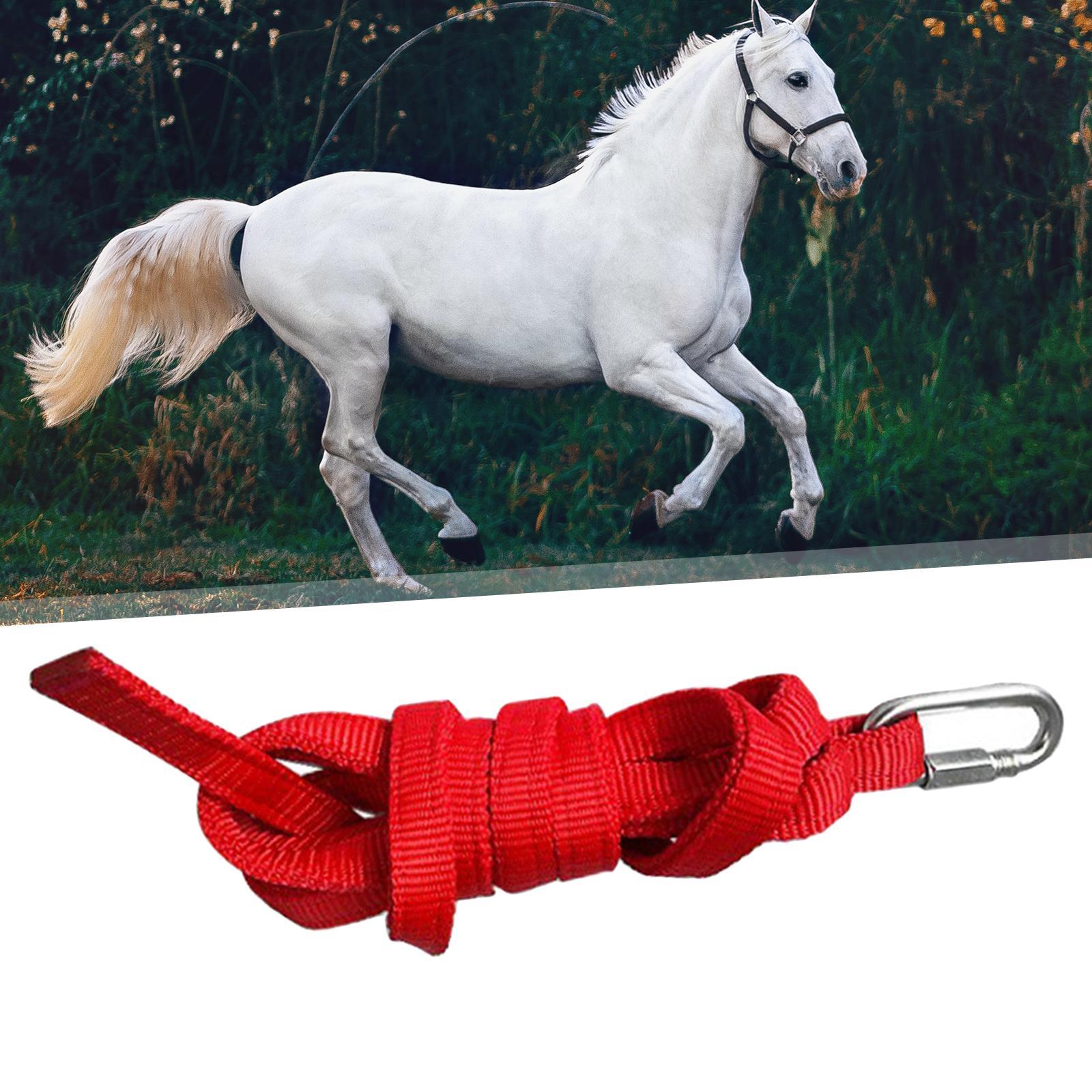 Practical Horse Leading Rope Without Horse Halter for Livestock Double Layers Accessories Equestrian Rein Halters Bolt Snap