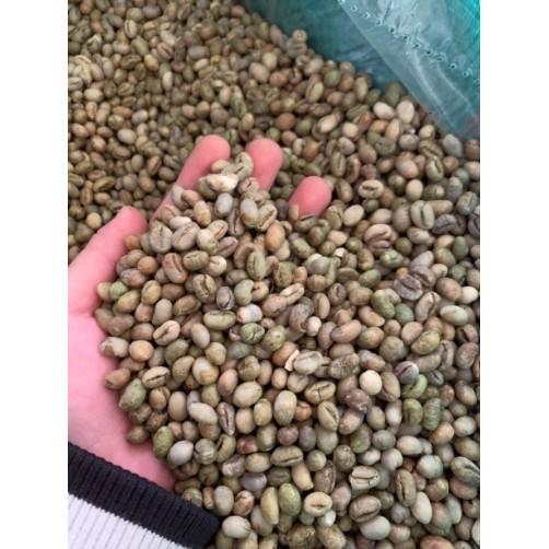 01kg_Nhân Cà phê sống ROBUSTA S18 CHỌN LỌC