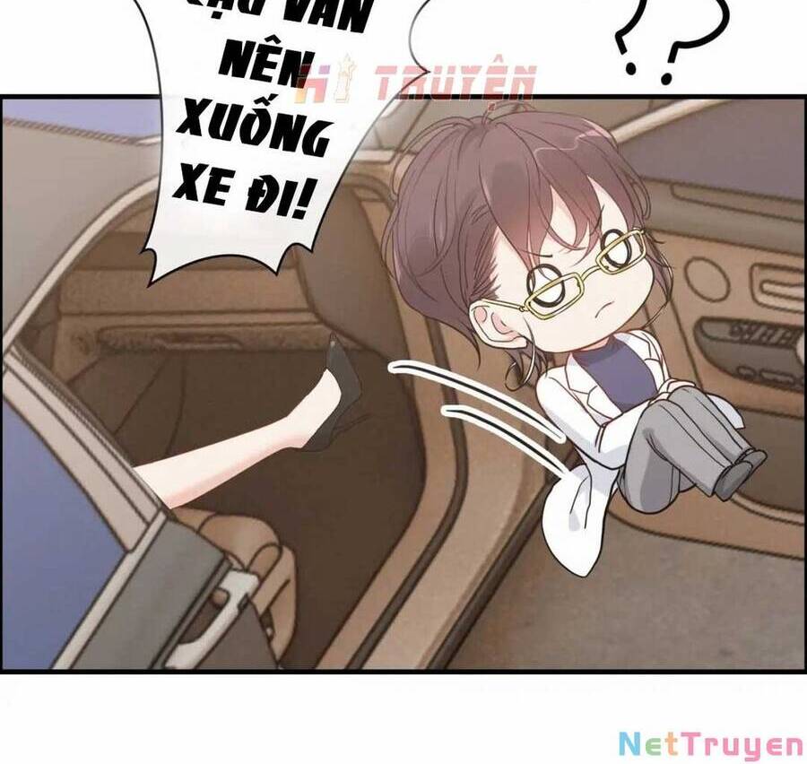 cô vợ hợp đồng bỏ trốn của tổng giám đốc chapter 416.6 19