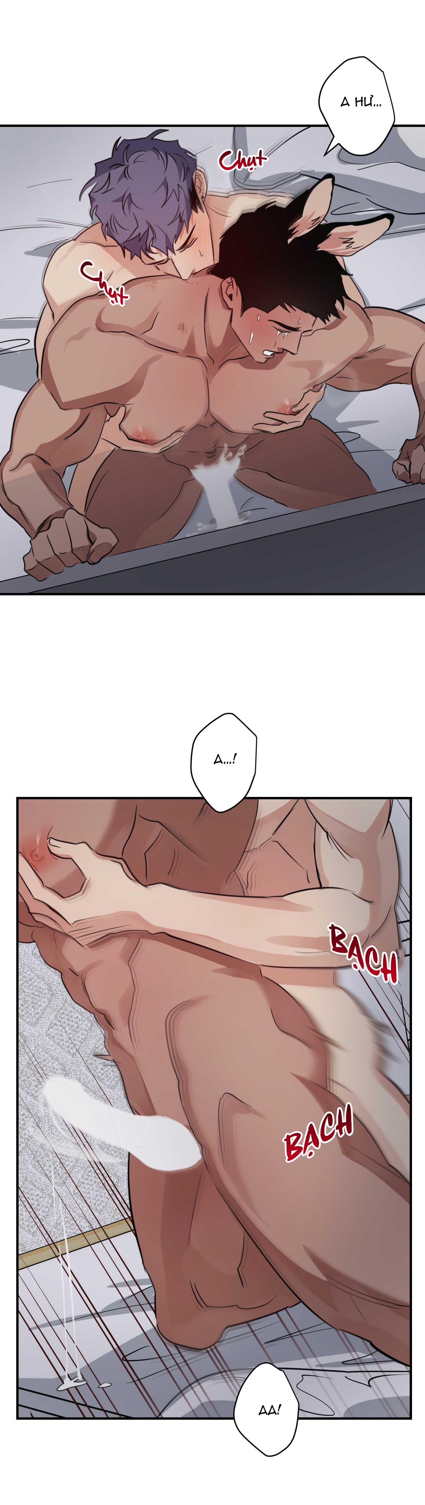 bộ sưu tập ciu to-ngực bự của nhà sẹc chapter 18 22