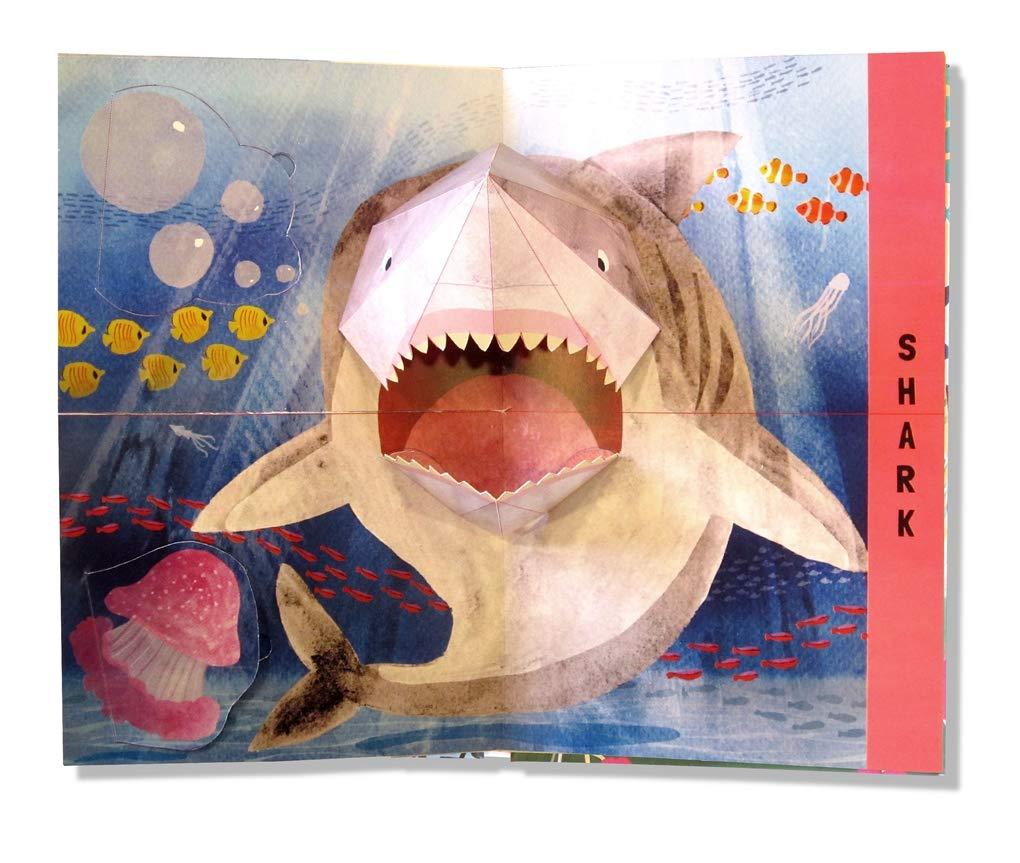 Sách ngoại văn: Flip Flap Snap - Ocean