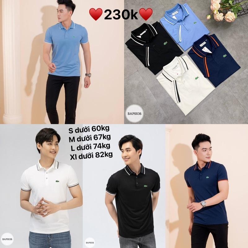 ️BAP0036️Áo polo nam LCT cổ bẻ viền kẻ nhỏ vnxk