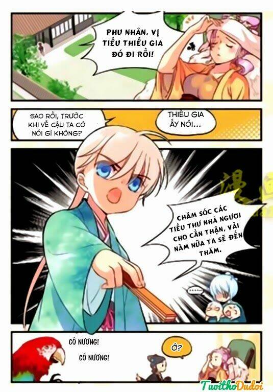 hoa phi hoa chapter 29.5 1