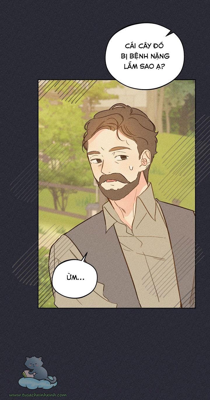 trang trại hạt dẻ cạnh hoàng cung chapter 16 39