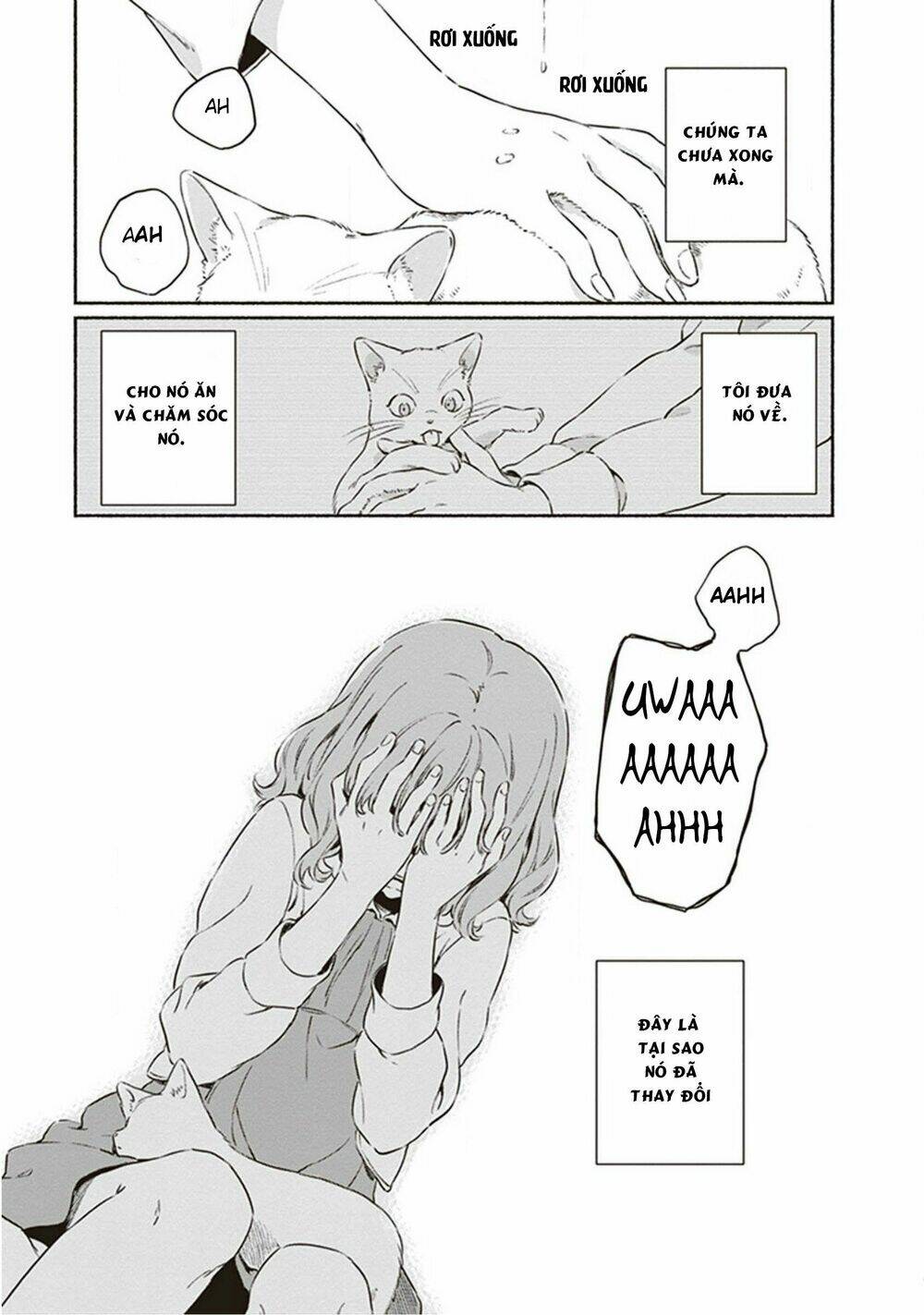 hello, hello and hello chapter 5 16