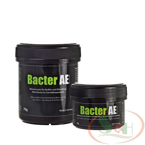 Thức ăn tép GlasGarten Bacter AE màng vi sinh biofilm tự nhiên bể cá tôm tép cảnh