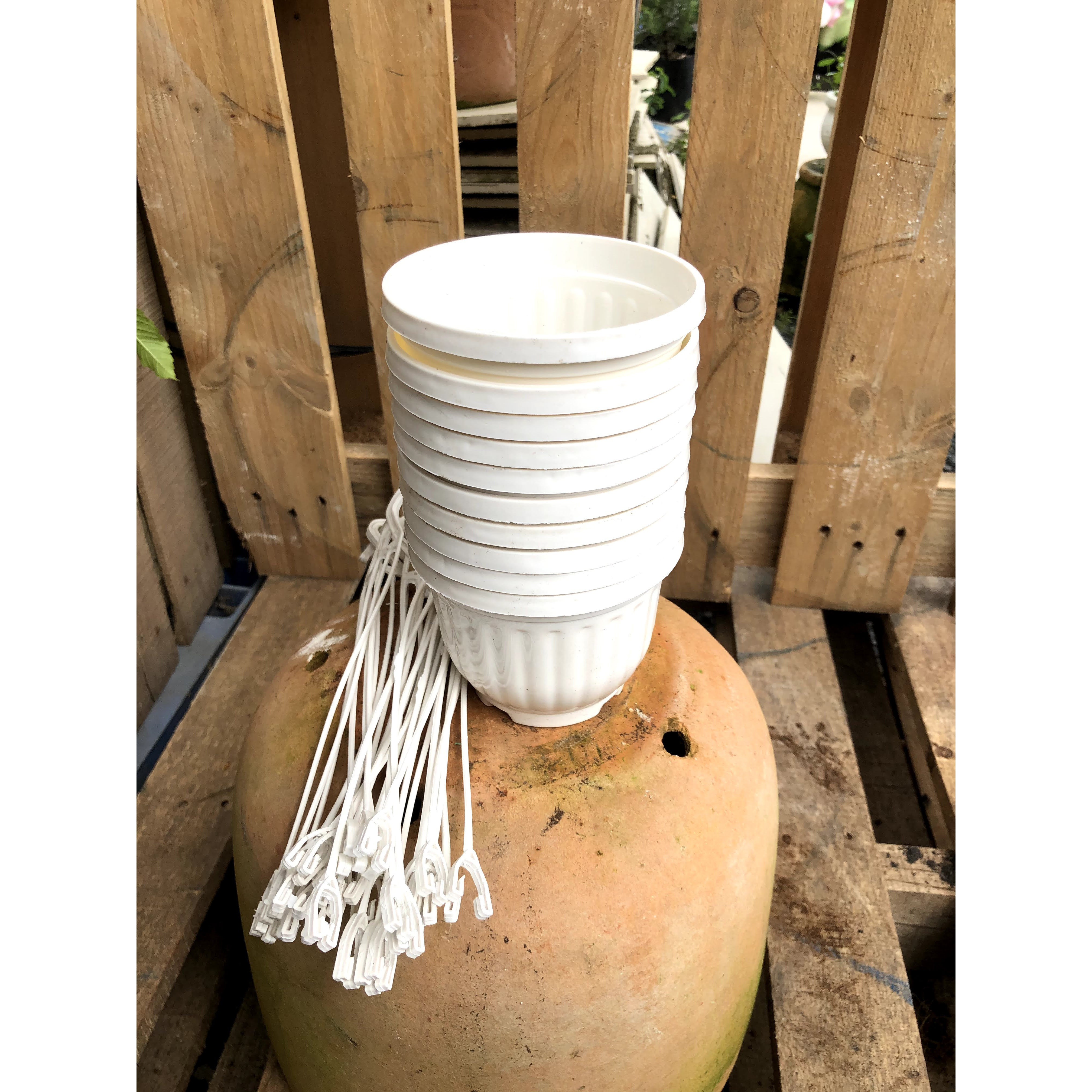 Bộ 10 chậu treo trồng cây fi 11 x 9 cm
