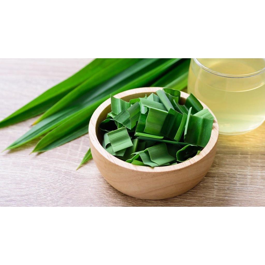 CÂY GIỐNG LÁ NẾP