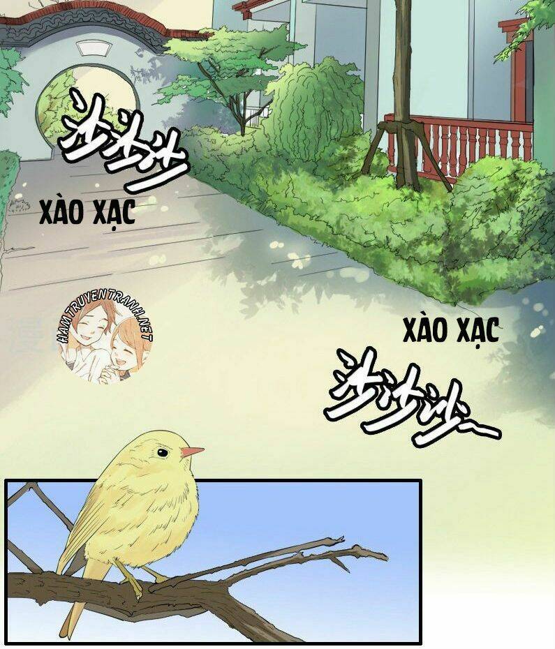 tiểu tâm can của cực phẩm đại nhân chapter 10.1 4