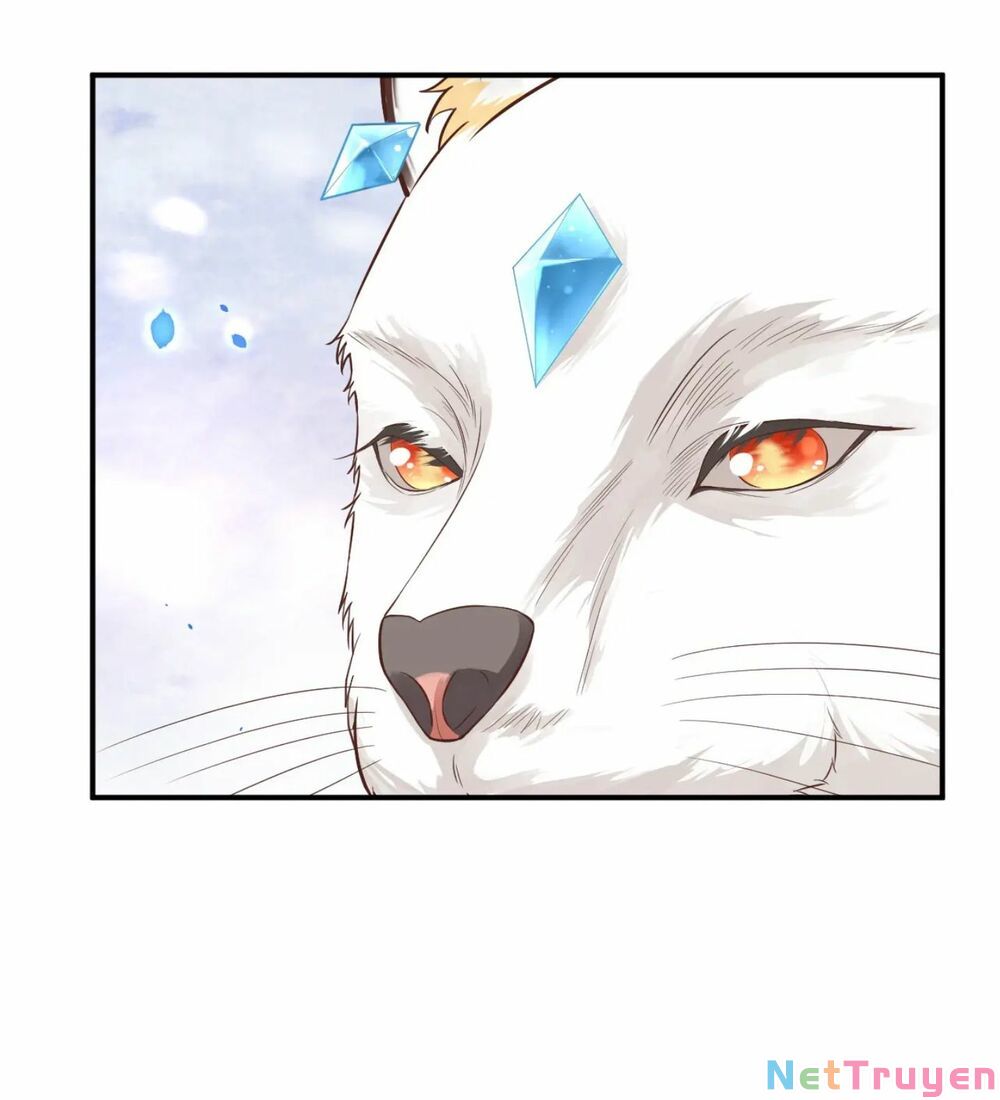 chàng vú em tu chân chapter 76 37