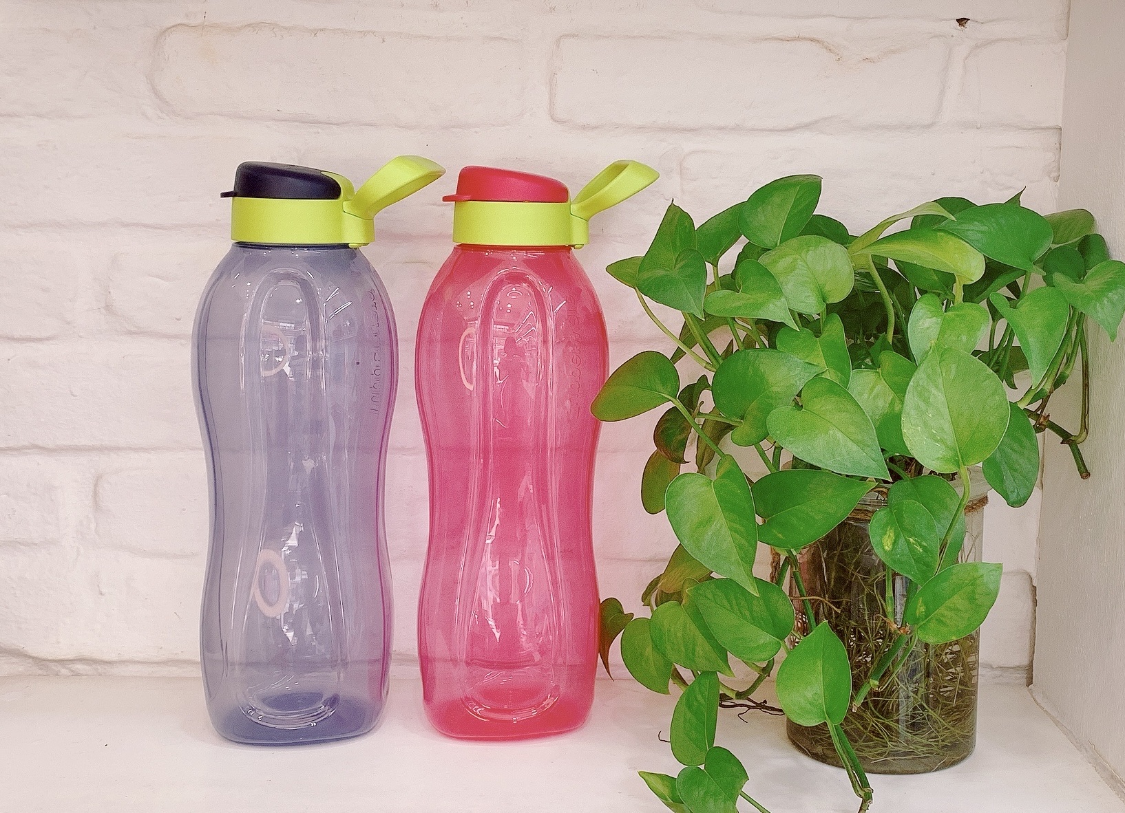 Bình nước Eco bottle 1.5L