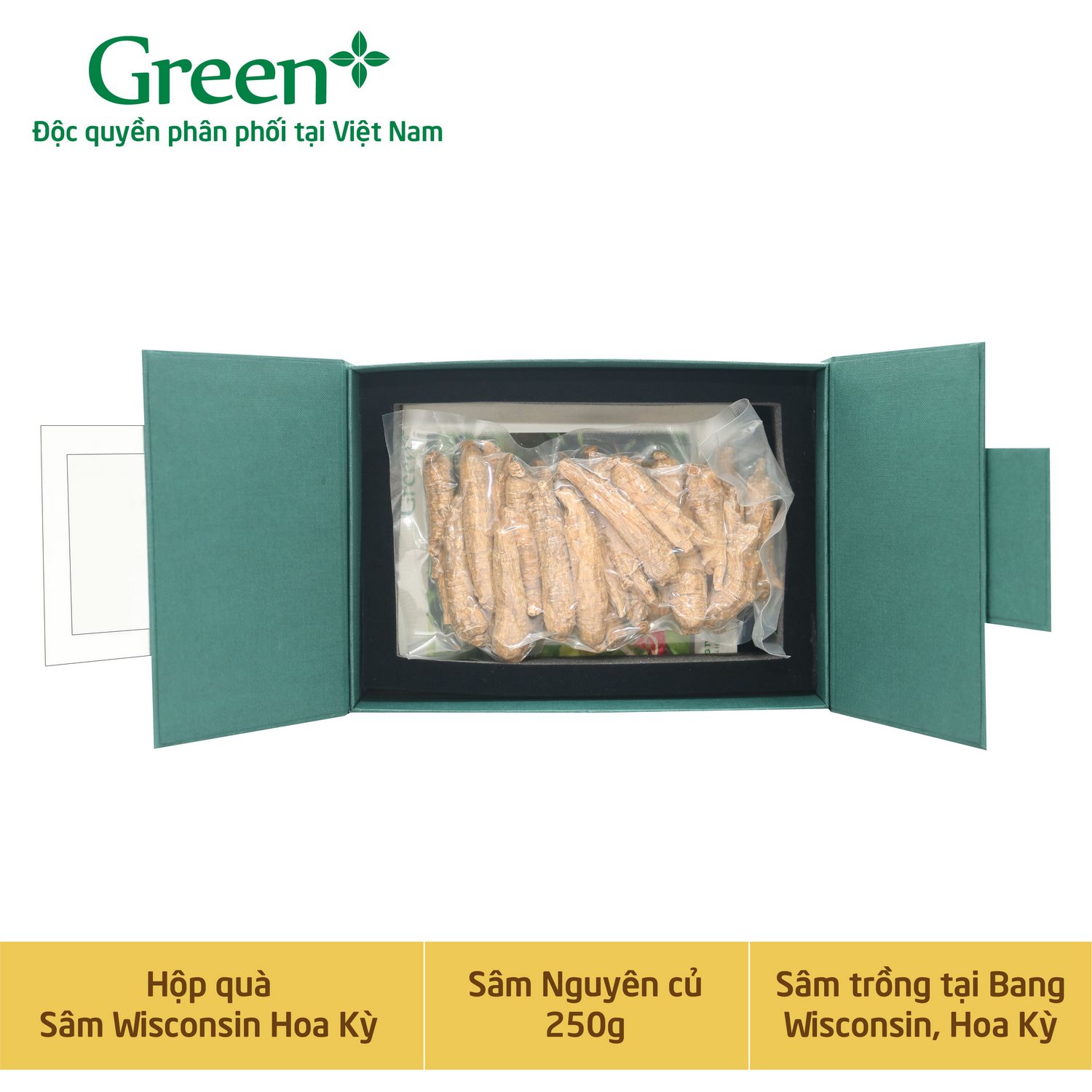 Nhân Sâm Wisconsin Hoa Kỳ - Nguyên củ - Hộp quà tặng