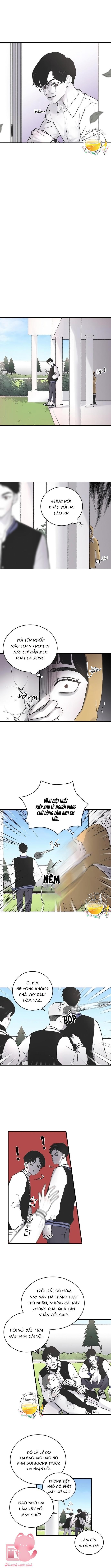 ba anh trai cực phẩm của tôi chapter 4 8