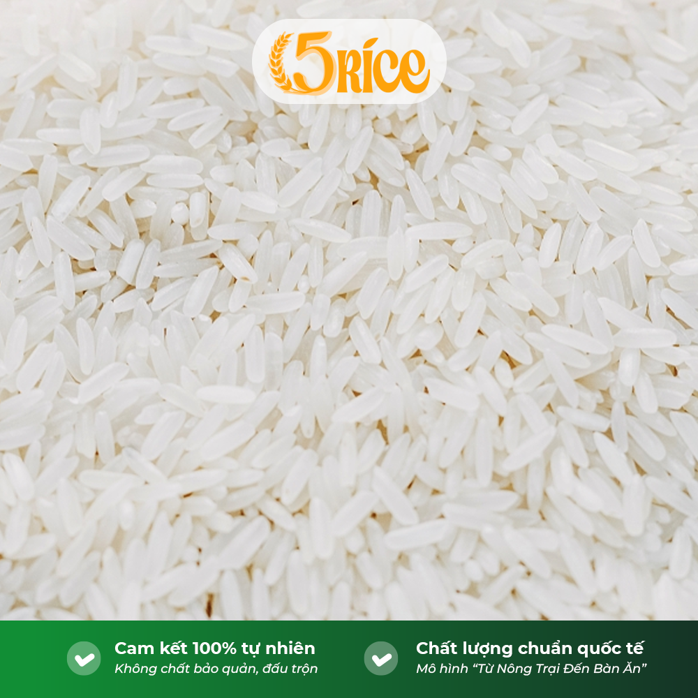 Gạo Đài thơm 8 Chơn Chính - Túi 20kg - Gạo thơm dẻo, đậm vị 5RICE