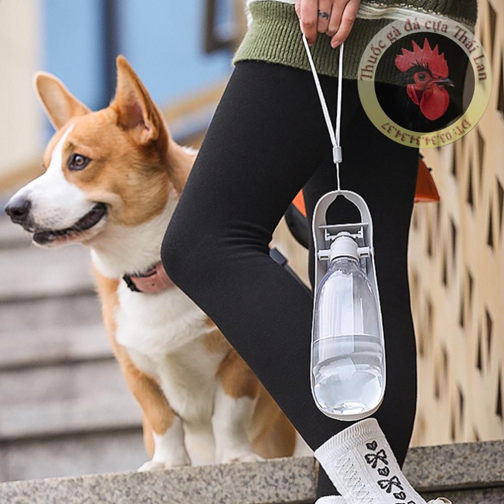 Bình nước du lịch , di động 550ml dành cho chó mèo