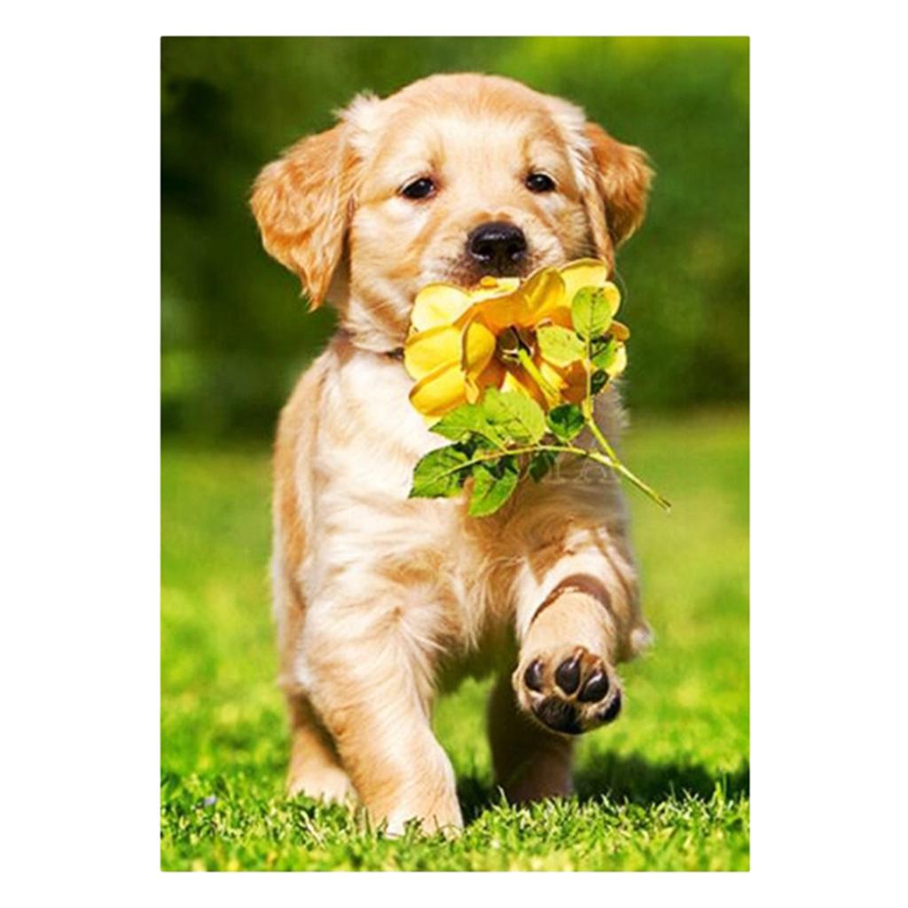 DIY 5D Diamond Painting Embroidery Flower Dog Cross Crafts Stitch Kit Decor