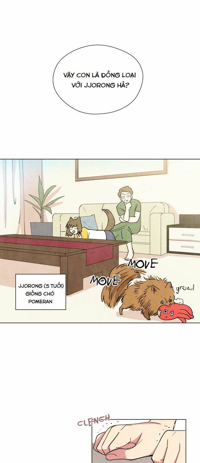 tai sói và mũ đỏ chapter 1 52