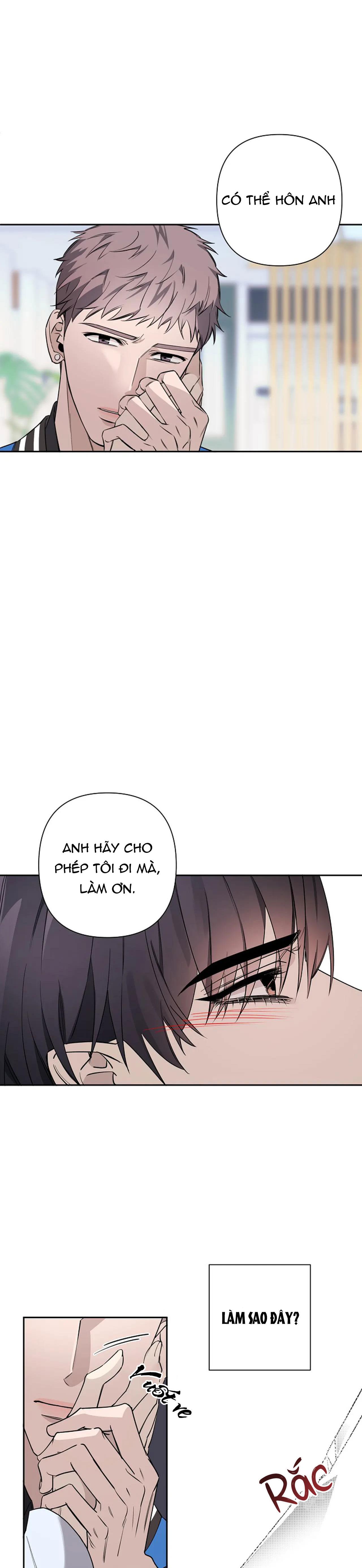 đêm dịu dàng chapter 40 19