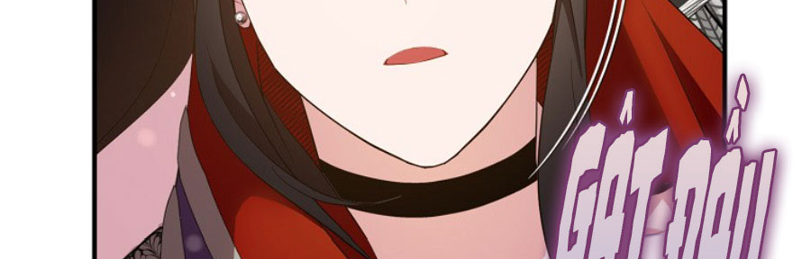 tôi sẽ cố gắng bảo vệ em gái chapter 30.1 397