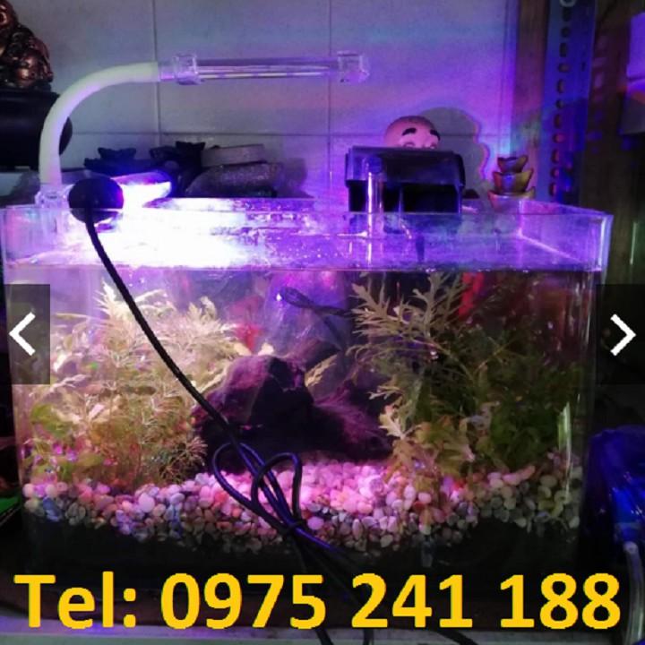 Đèn bể cá T4-40 siêu sáng, 6W, dài 38.5cm, dùng cho bể 40-50cm