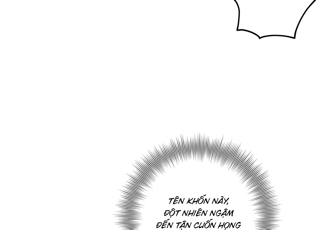 chàng dâu nhà họ kang chapter 34 78