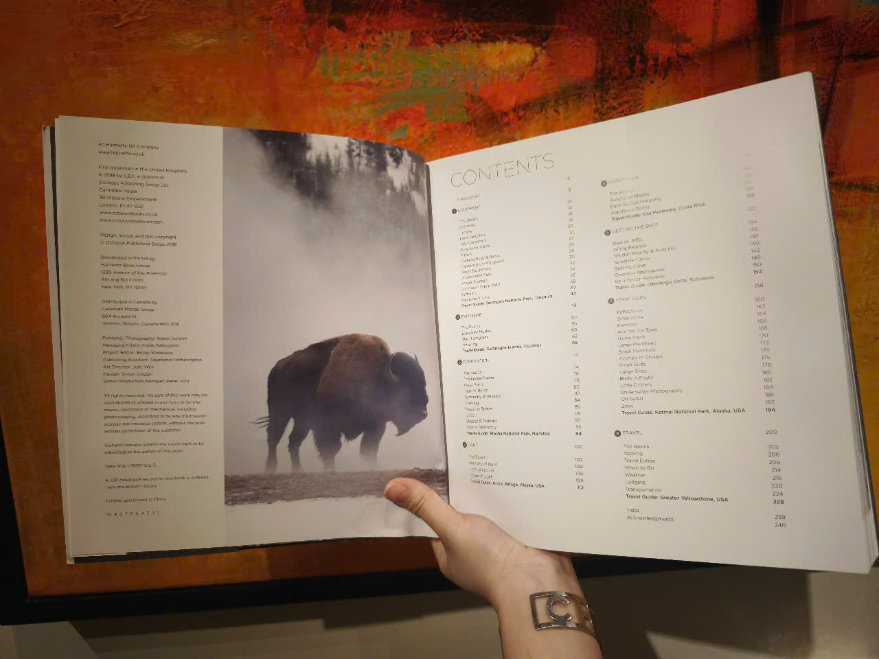 Sách - Wildlife Photography by Richard Bernabe - From First Principles To Professional Results