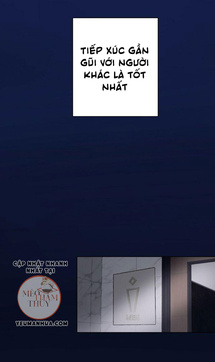 bạn có tò mò về bài review? chapter 13 90