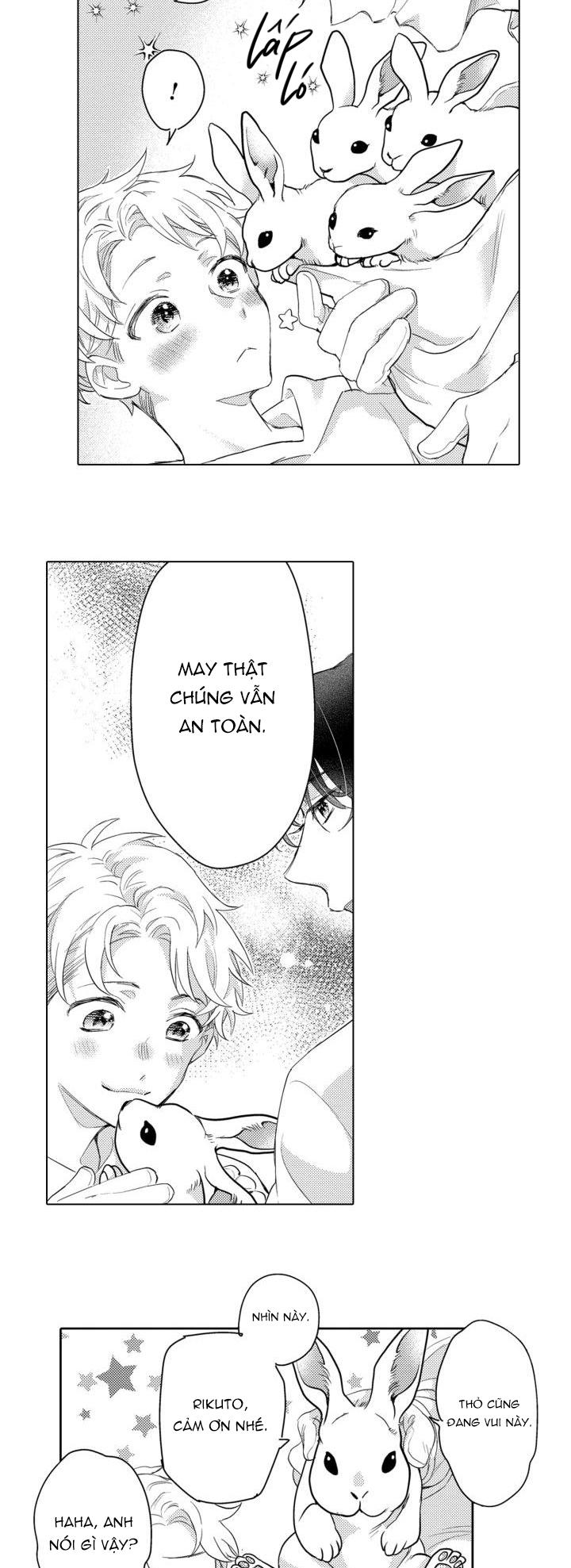 hiyoko-chan to harinezumi-kun chapter 6 5