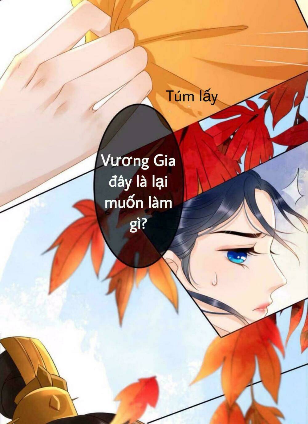 sủng phi của vương chapter 39 28