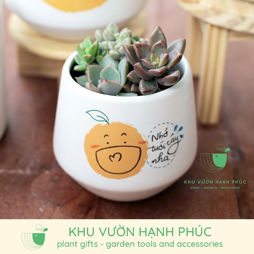 Chậu in hình - Những lời nhắn nhủ dễ thương - Size 7-8cm, quà tặng, trang trí, văn phòng,...