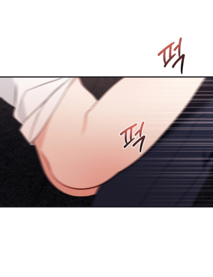 [18+] hôn nhân bị đánh cắp chapter 27.1 47