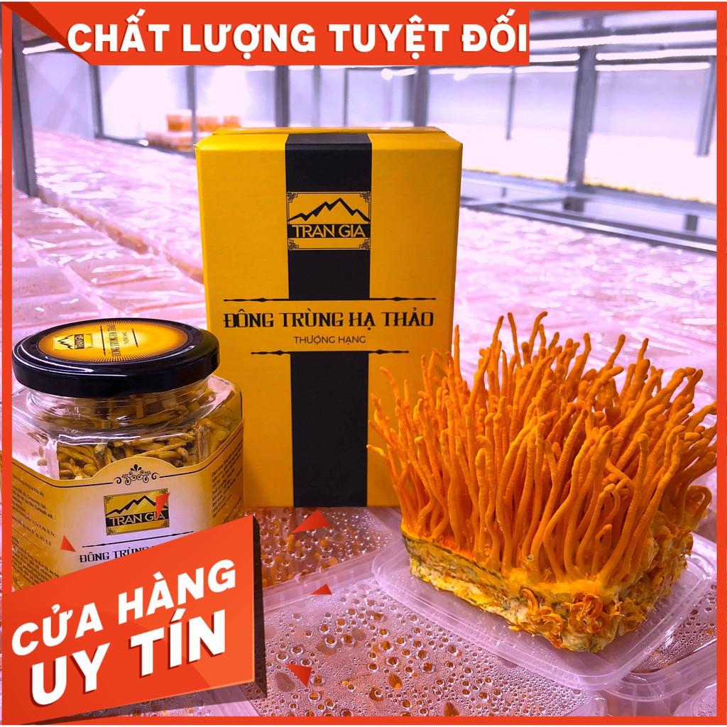 Đông trùng hạ thảo sấy lạnh loại 1 / Dược chất cao