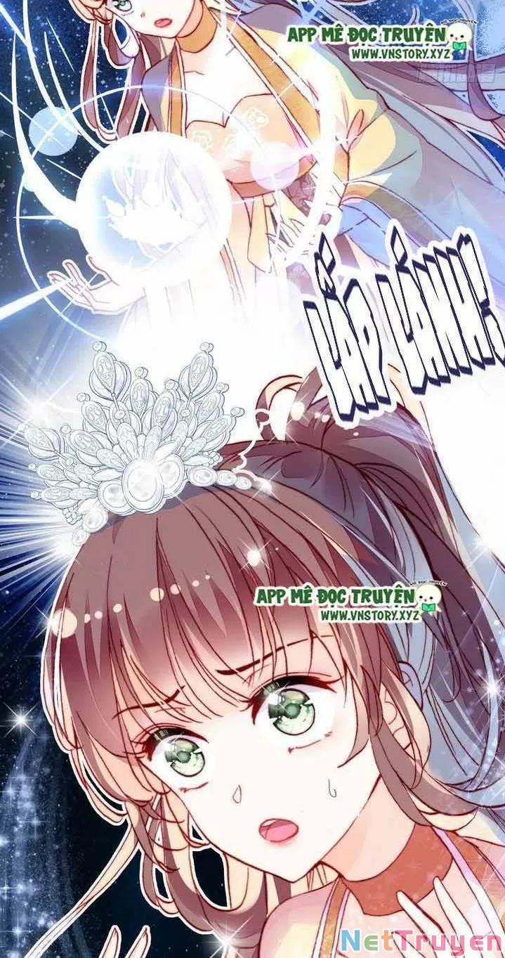 lại bị bệnh chiều chuộng quấn lấy chapter 10 10