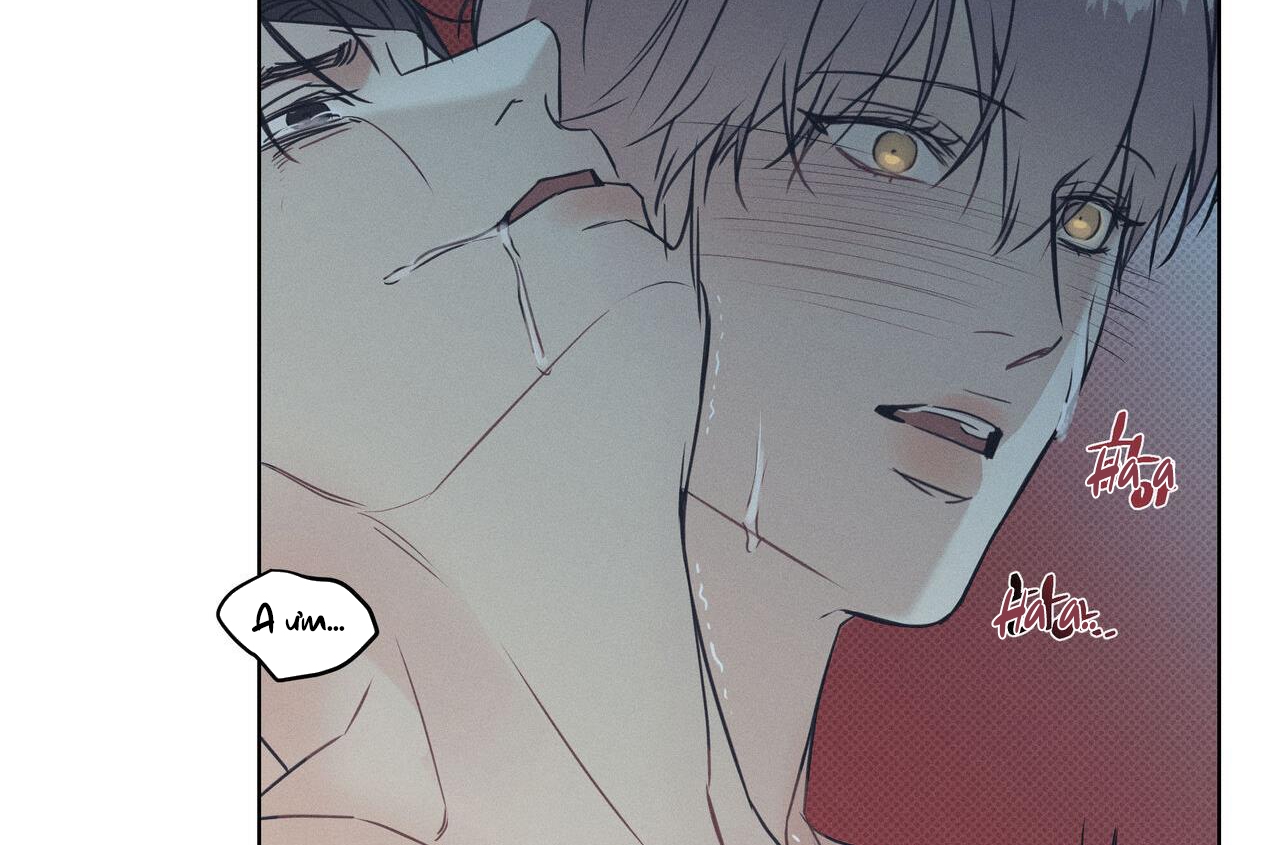 dải hợp âm trên đại dương xanh chapter 37 140