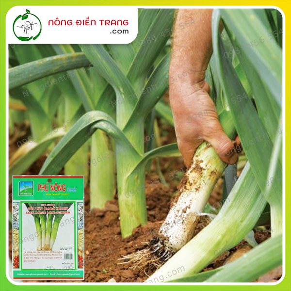 Hạt Giống Tỏi Tây Phú Nông - Gói 2g - Hành Boaro, baro barô hành - Nảy Mầm Nhanh Sinh Trưởng Mạnh - VTNN Nông Điền Trang