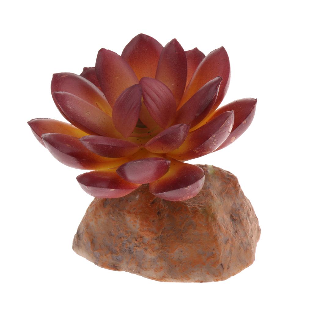 2x Reptile Terrarium Vivarium Ornament Desert Plant with Rock Base Decor