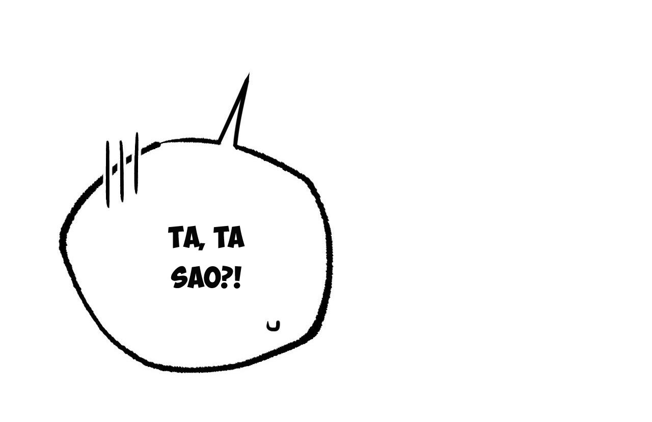 những chú thỏ của hapypy chapter 61 96