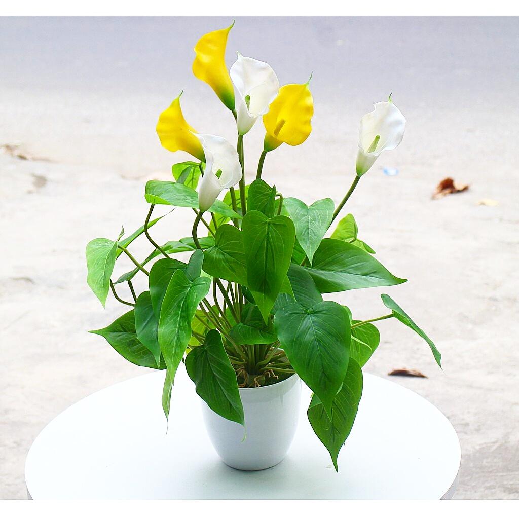 Chậu cây nhỏ trang trí nhà cửa, để tủ, cửa hàng, quán... Cây giả kèm chậu