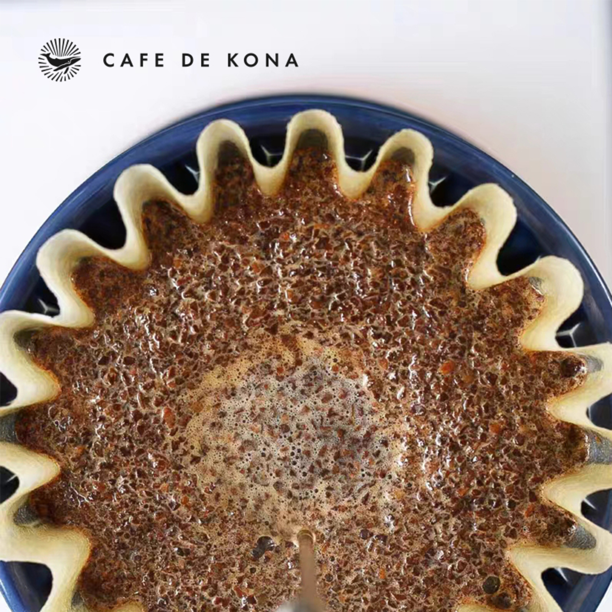 Giấy lọc hình tròn cho phễu Kalita 155 185 CAFE DE KONA