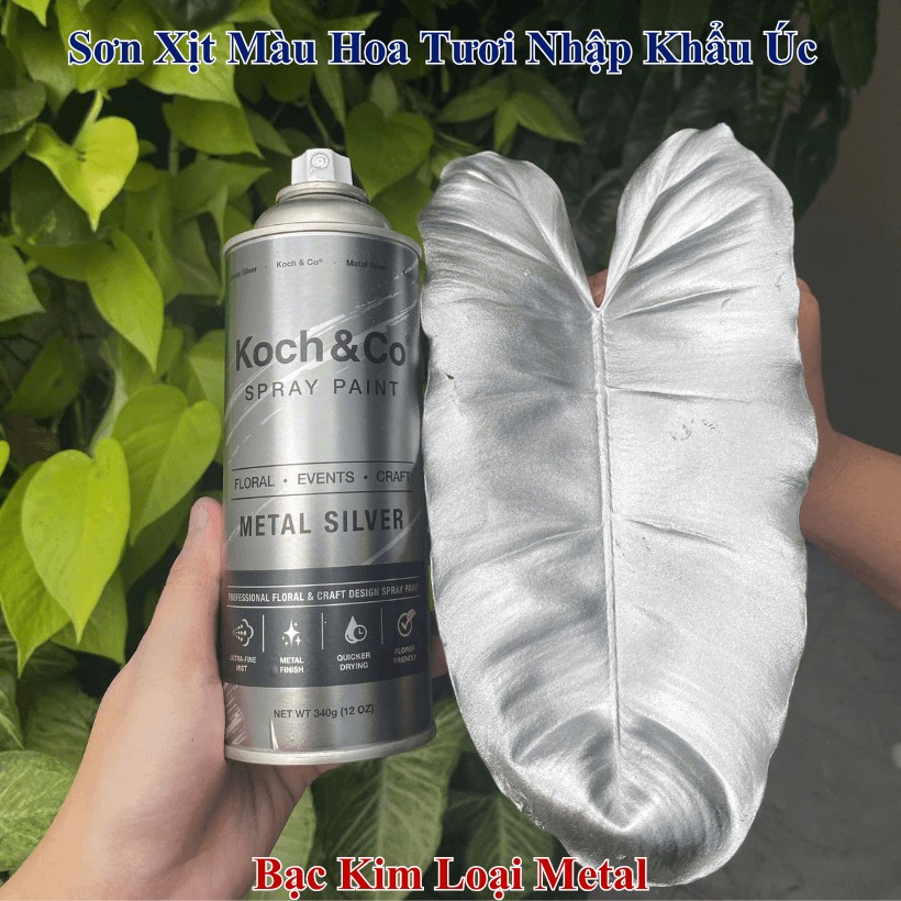 Sơn Xịt Lá Màu Bạc Silver của Úc là Sơn Xịt Hoa &amp; Lá Cây Chuyên Dụng Hiệu Koch &amp; Co, Australia, mùi thơm dịu nhẹ