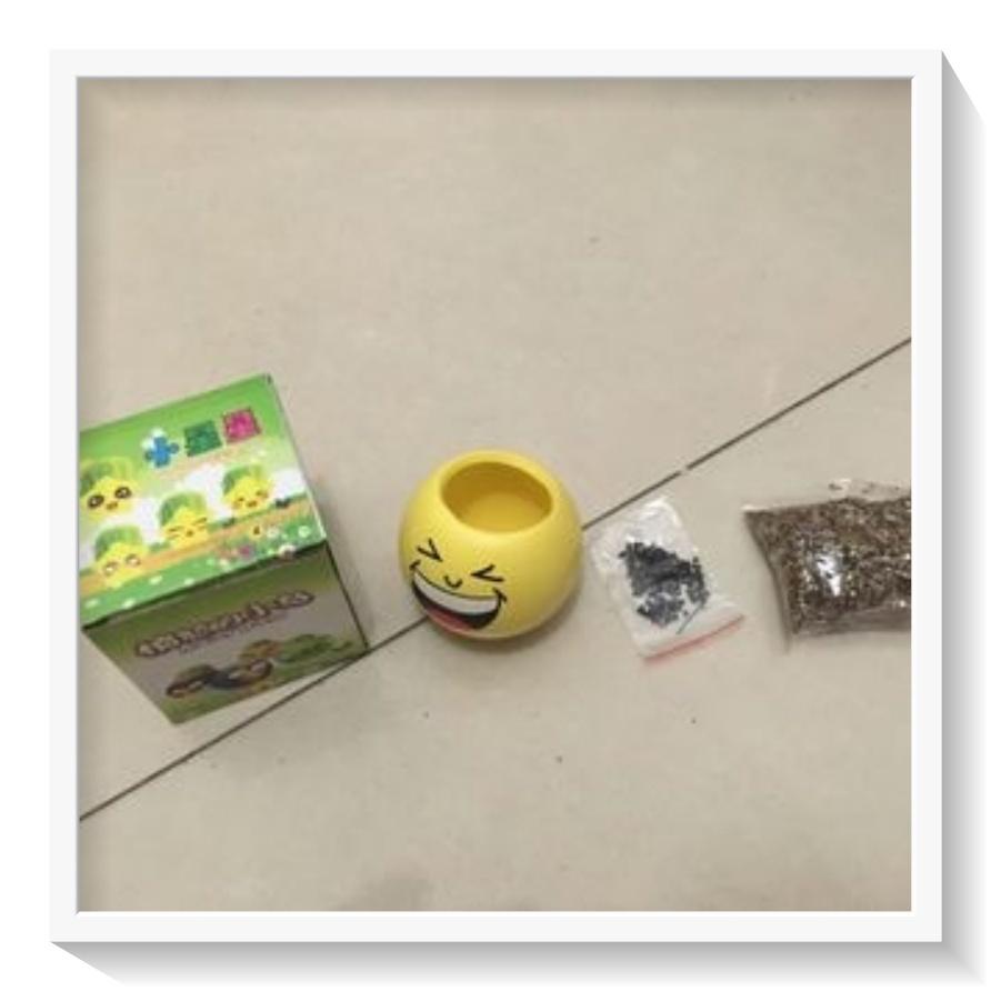 Chậu cây cảnh mini hình mặt cười vui đáng yêu, Emojji đẹp, chậu cây hình em bé baby xinh, tặng kèm đất và hạt giống cỏ