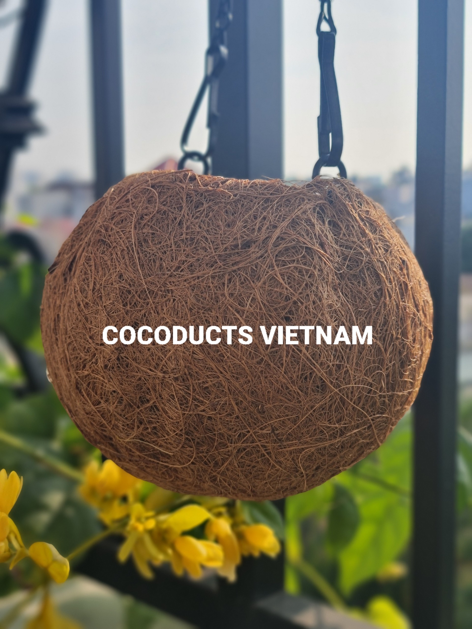 Quả cầu xơ dừa Cocodema